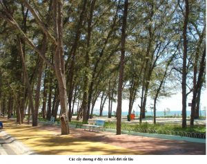 bien-doi-duong-1