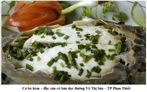 ca-bo-hom