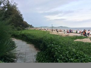 cong-vien-doi-duong-4