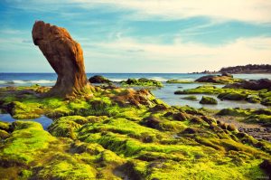 Cổ Thạch - vẻ đẹp ma mị khó cưỡng