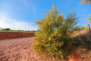 Những địa điểm chụp hình lý tưởng chỉ có ở Phan Thiết