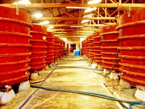 Xưởng nước mắm Phan Thiết